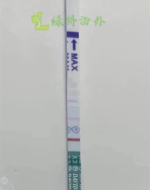 2011.11.9试管好孕来啦(图3)