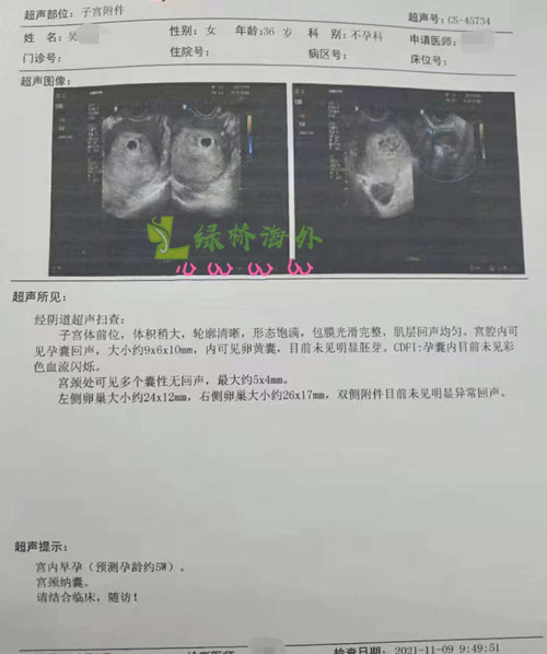 2021.11.12好孕来啦：一份优秀的囊胚报告(图3)