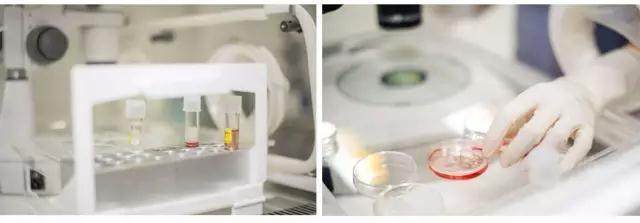泰国试管婴儿套餐（费用、价格、多少钱）(图3)