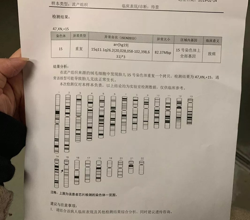 三次胎停，非做不可的三代试管，坚持就是胜利