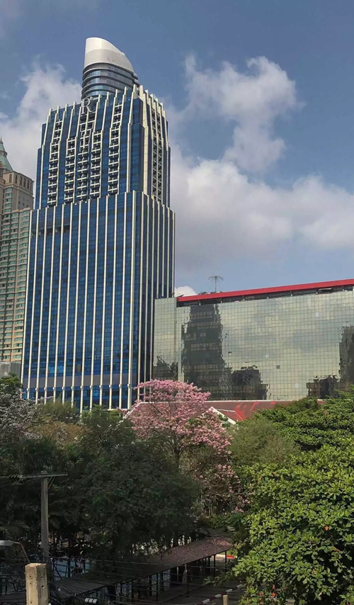 泰国试管移植后的心路历程，从不安到圆满(图2)