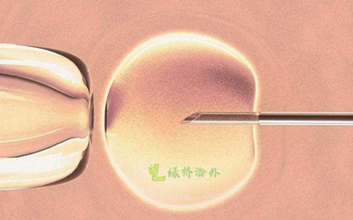 现在做试管婴儿还需要准生证吗？(图1)