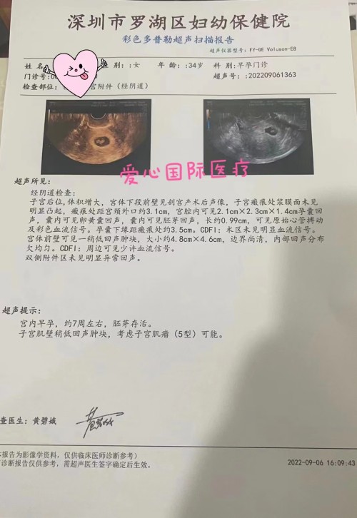 2022.9.8试管好孕：移植嵌合胚成功，已孕7周(图2)