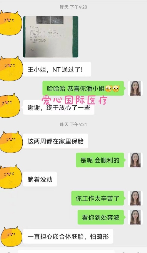 2022.9.13好孕速报：试管准妈妈顺利通过NT(图2)