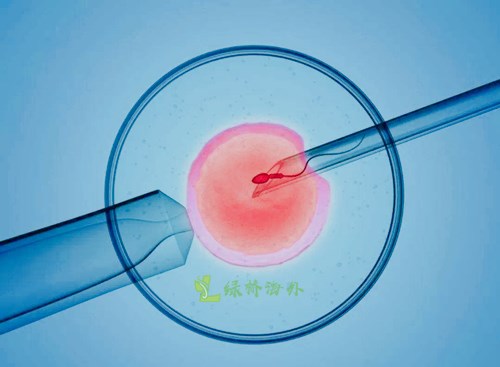 单身妈妈可以做试管婴儿吗？(图2)