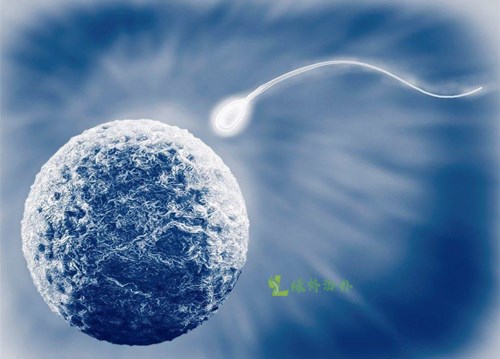 几代的试管婴儿可以选择性别(图2)