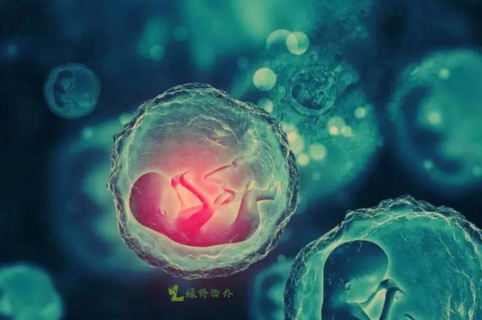 我想做试管选宝宝的性别，三代试管能做到吗